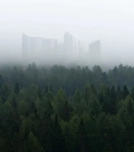 Дежнев