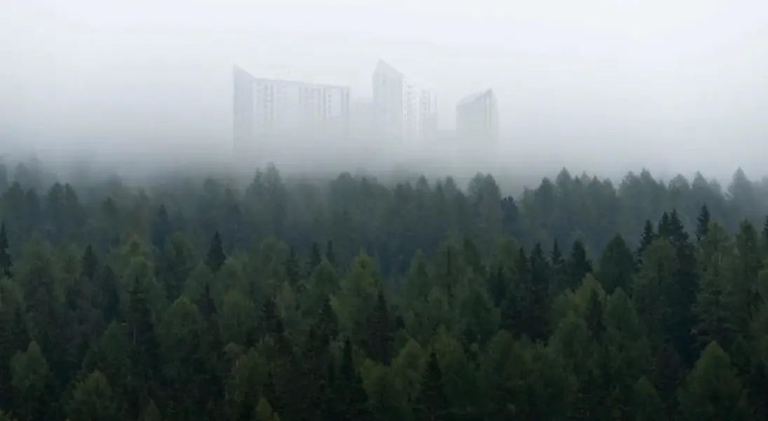Дежнев