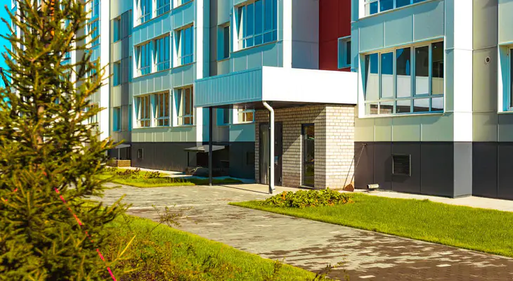 ЖК Кольца ель возле подъезда