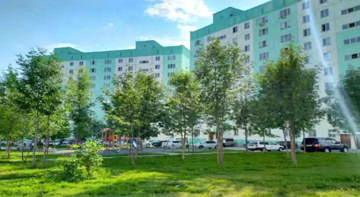 В ЖК Плющихинский всегда высаживают крупномерные деревья